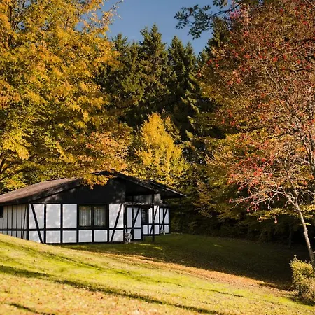 Hotel Grafenwald 4*