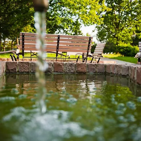 Grafenwald 4 Sterne Superior Hotel Daun