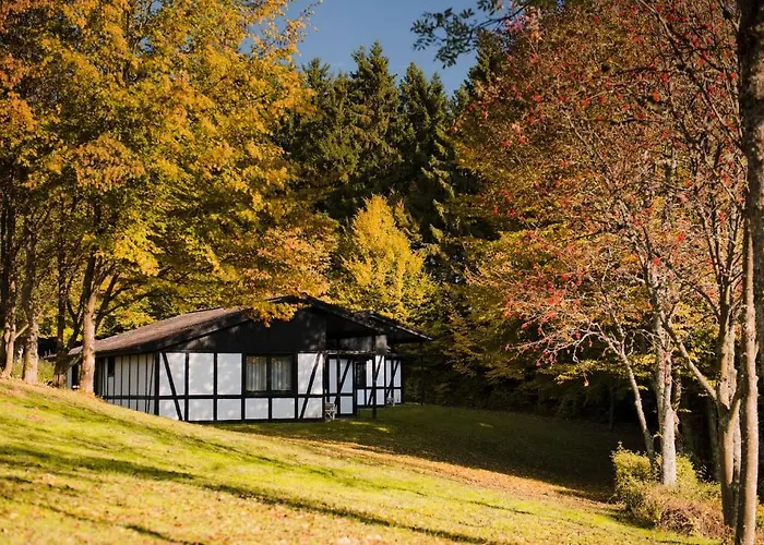 فندق Grafenwald 4 Sterne Superior 4*